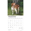 Calendario Brittany Spaniel 2025