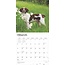 Calendario Brittany Spaniel 2025