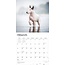 Bull Terrier Kalender 2025