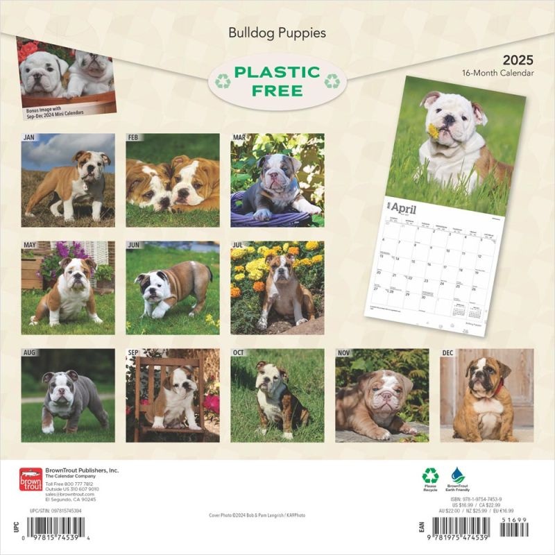Engelse Bulldog Kalender Puppies 2025 Kopen? Eenvoudig online