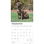 Calendrier Bullmastiff 2025