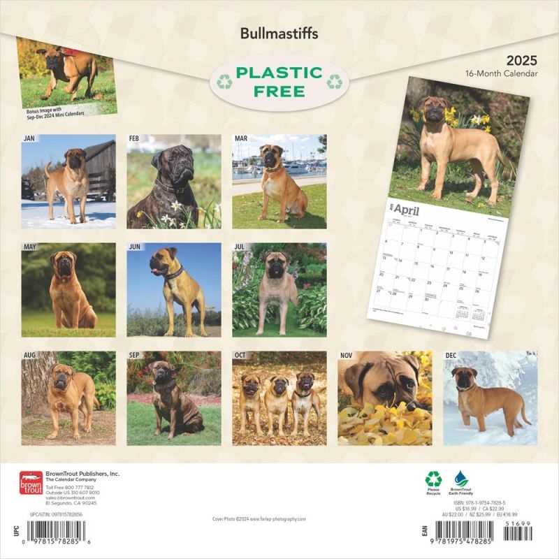 Bullmastiff Kalender 2025 Kopen? Bestel eenvoudig online