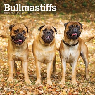 Browntrout Calendario Bullmastiff 2025