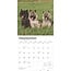 Cairn Terrier Kalender 2025