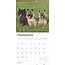 Calendario Cairn Terrier 2025