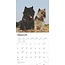 Calendario Cairn Terrier 2025