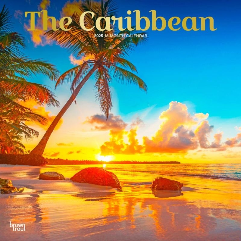 The Caribbean 2025 12 X 24 Inch Monthly Square Wall Calendar Foil Stamped Cover Plastic-Free