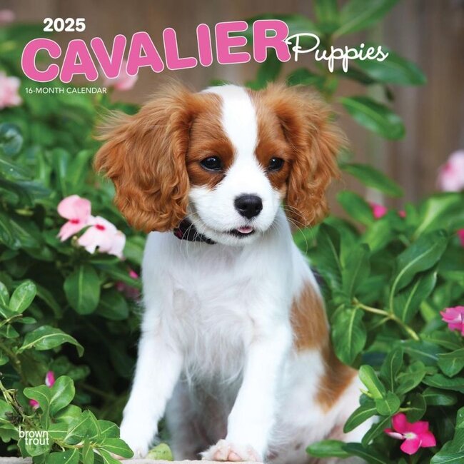 Cavalier King Charles Spaniel Puppies Calendar 2025