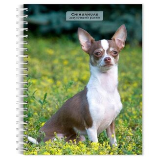 Browntrout Agenda Chihuahua 2025