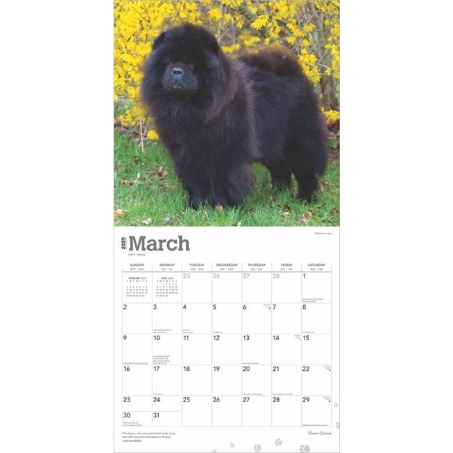 Chow Chow Kalender 2025 Kopen? foto's van de Chow Chow