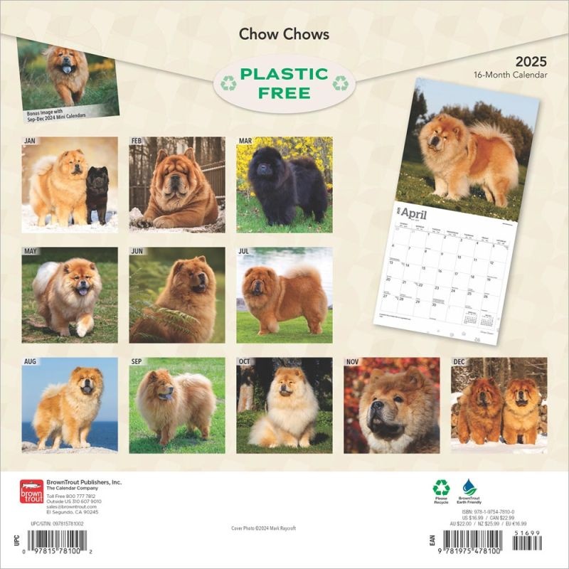 Buying Chow Chow Calendar 2025 photos of the Chow Chow