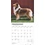 Schotse Herder / Collie Kalender 2025