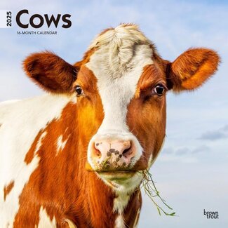 Browntrout Calendario delle mucche 2025