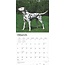 Dalmatian Calendar 2025