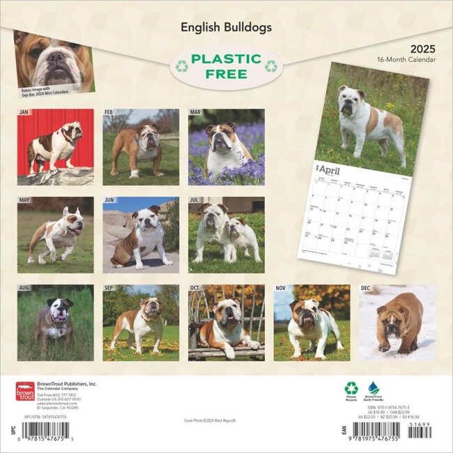 Engelse Bulldog Kalender 2025 Kopen? Bestel eenvoudig Online Kalenderwinkel.nl