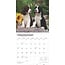 Engelse Springer Spaniel Kalender 2025