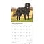 Calendrier 2025 pour le Flatcoated Retriever