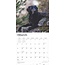 Calendrier 2025 pour le Flatcoated Retriever