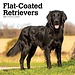 Browntrout Calendrier 2025 pour le Flatcoated Retriever