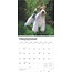 Fox Terrier Kalender 2025