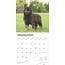 Duitse Herder Puppies Kalender 2025