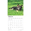 German Shepherd Puppies Calendar 2025