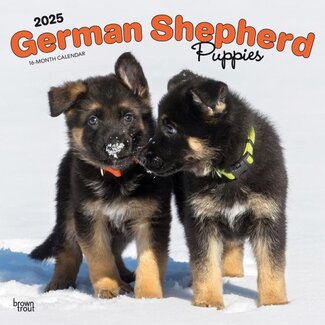 Browntrout Calendario de cachorros de pastor alemán 2025