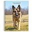 German Shepherd Agenda 2025