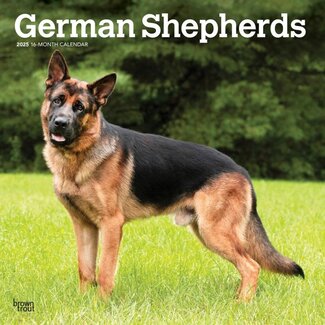 Browntrout German Shepherd Calendar 2025