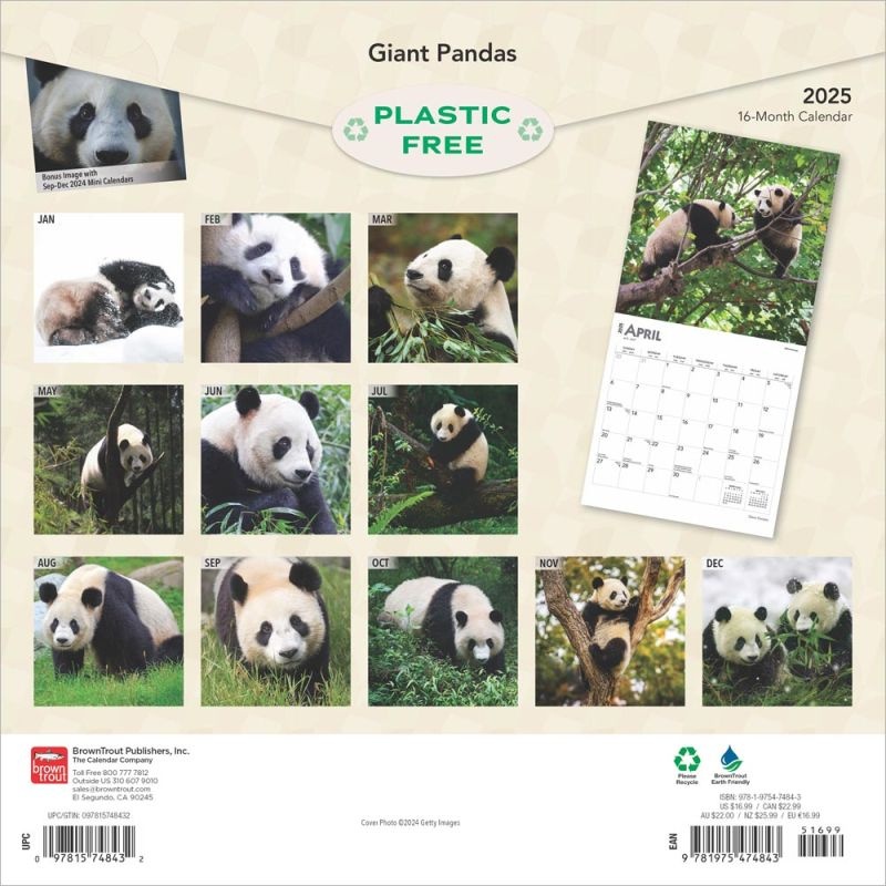 Panda Kalender 2025 Kopen? Eenvoudig, veilig en snel online