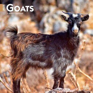 Browntrout Goat Calendar 2025