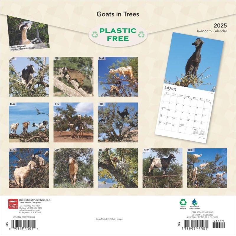 Goats in Trees Kalender 2025 Kopen? Bestel eenvoudig Online Kalenderwinkel.nl
