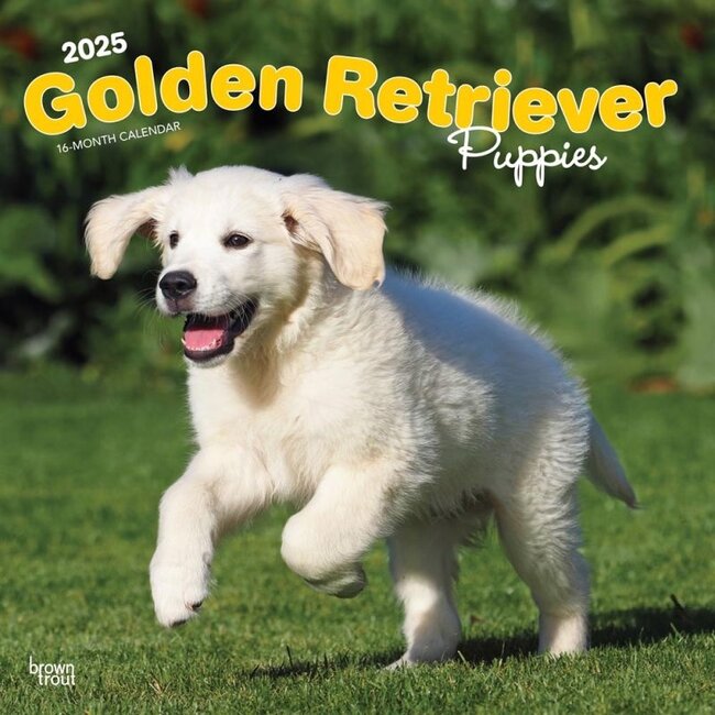 Calendario Cachorros Golden Retriever 2025