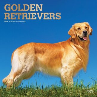 Browntrout Calendario Golden Retriever 2025