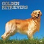 Browntrout Golden Retriever Calendar 2025