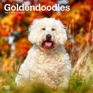 Browntrout Goldendoodle Calendar 2025