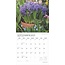 Calendrier des jardins magnifiques 2025