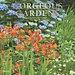 Browntrout Gorgeous Gardens Calendar 2025
