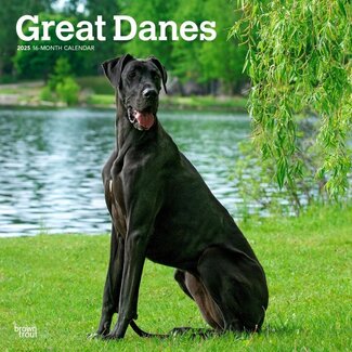 Browntrout Great Dane Calendar 2025