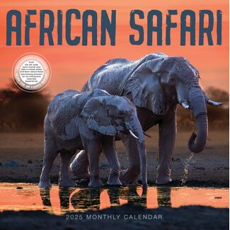 Marble City Calendario de safaris por África 2025