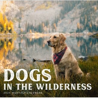 Marble City Dogs in the Wilderness Kalender 2025