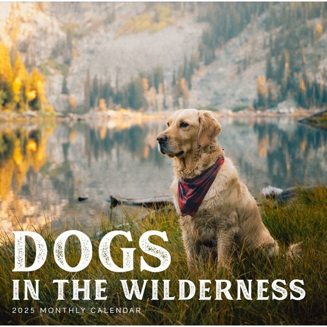 Hunde in der Wildnis Kalender 2025
