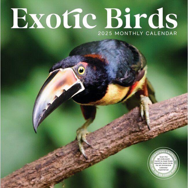 Exotische Vogels Kalender 2025