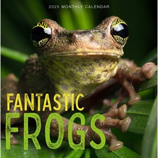 Marble City Frogs Calendar 2025