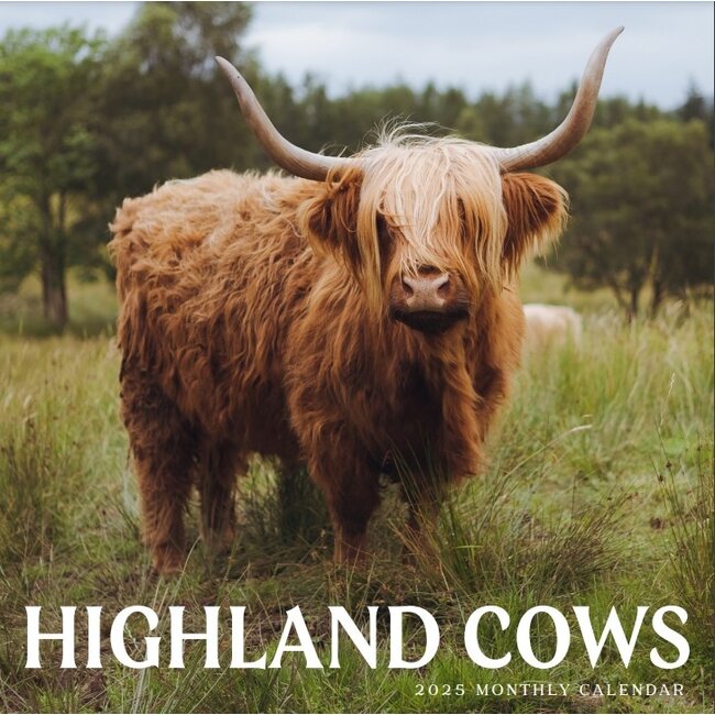 Schotse Hooglander Kalender 2025