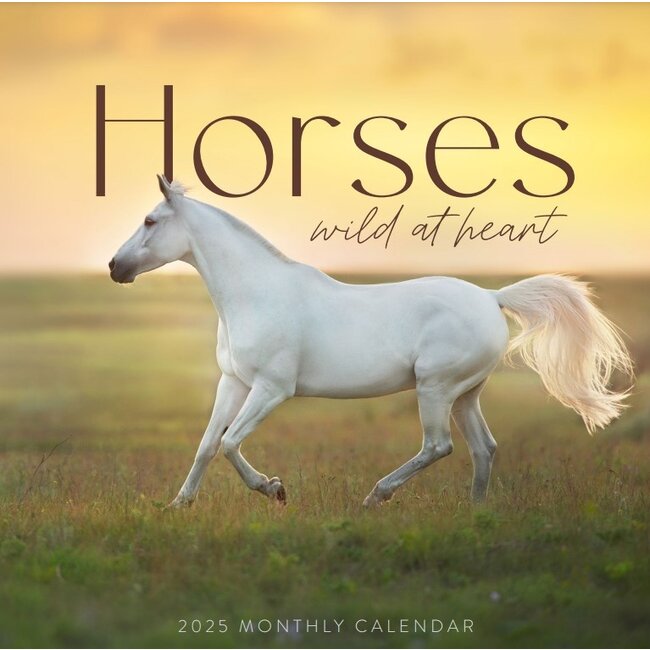 Beautiful Horses Calendar 2025? Order easily and quickly Online