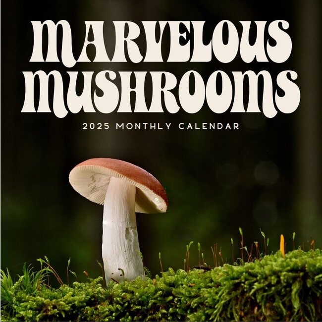 Mushrooms Calendar 2025