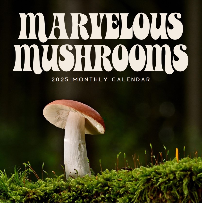 Calendario dei funghi 2025? Ordinate online in modo semplice e veloce