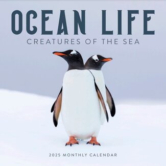 Marble City Ocean Life Calendar 2025