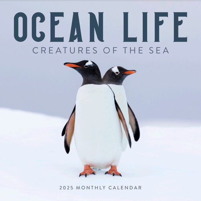 Ocean Life Calendar 2025? Order easily and quickly online